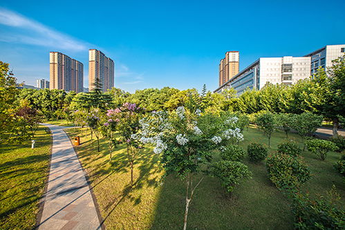 中铁四局荣获 全国文明单位 称号
