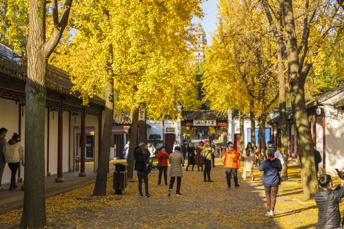 江苏最有潜力的3座城市,环境美实力强,许多人梦想到这里来定居